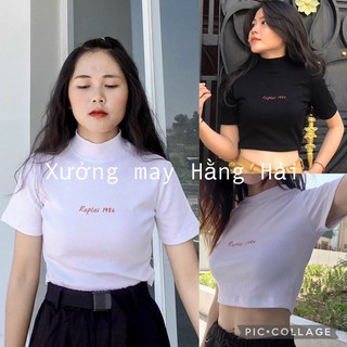 Áo croptop nữ trơn co giãn ulzzang 🌸 áo thun cộc tay unisex trơn basic dễ phối đồ