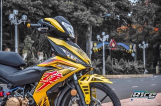 Tem rời Winner Vàng Đẳng cấp là đây