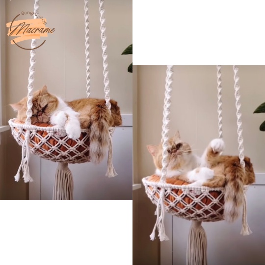 Đồ chơi cho mèo, Võng mèo, xích đu mèo macrame Bongxu_shop