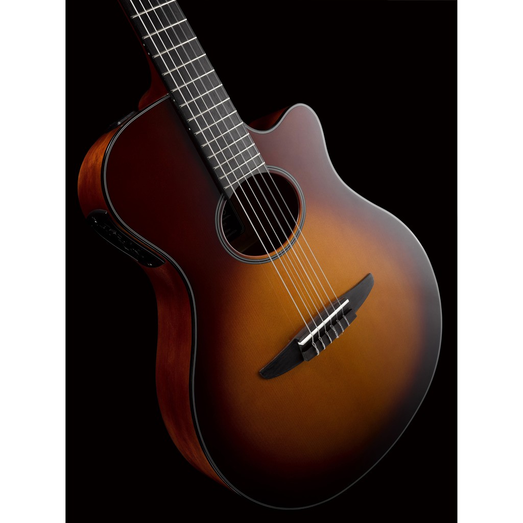 Đàn Guitar Electric Nylon Strings NTX500/ Black/ BS