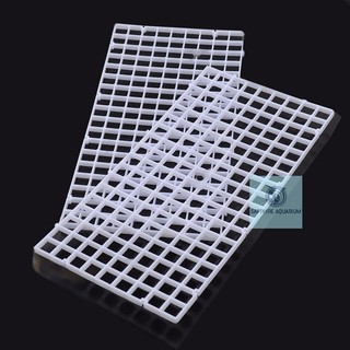 Vỉ nhựa/ Tấm lưới đậy chống cá nhảy - Tấm vách ngăn chia tách bể cá