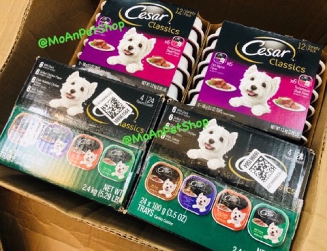 PATE CESAR Made in USA