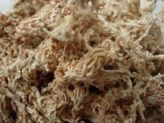 200g Rêu rừng Cao cấp  trồng Lan