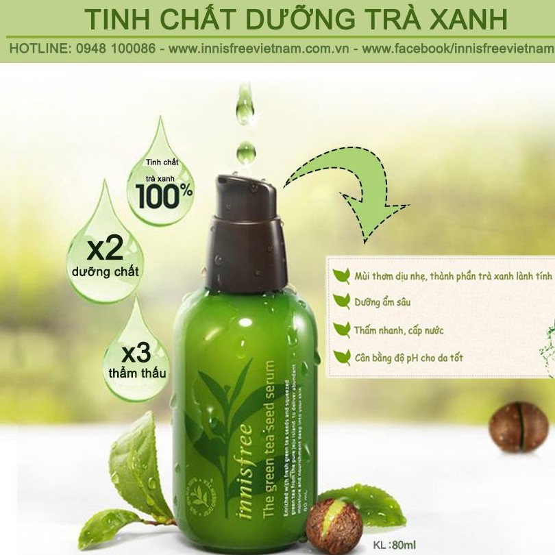 Serum Innisfree - Tinh chất dưỡng ẩm, phục hồi da mụn Green Tea Seed Trà Xanh 80ml PM30