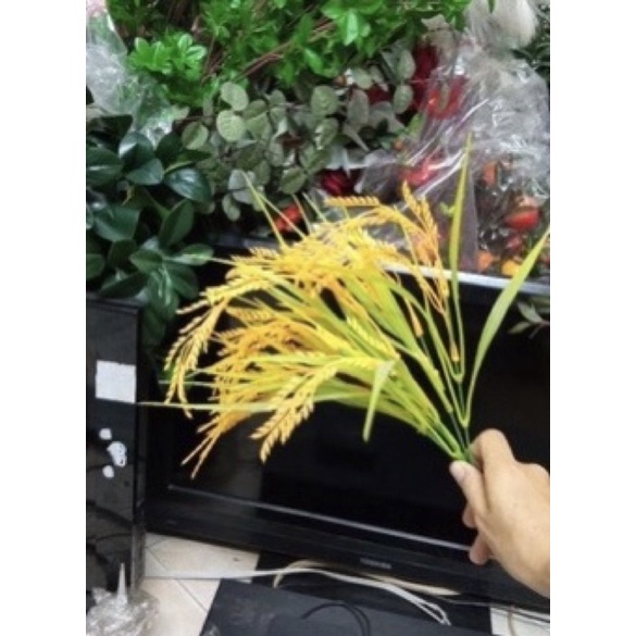 Cây giả bông lúa trang trí nhà cửa hoa giả decor bền đẹp