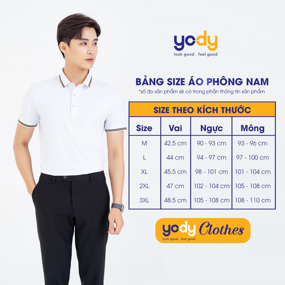 Áo phông nam YODY cổ tròn form rộng vải cotton thoáng mát PPM4001 | BigBuy360 - bigbuy360.vn