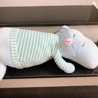 (Bán buôn) Gấu bông hà mã Bobby 60cm