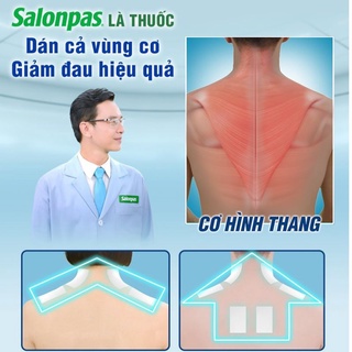 Cao dán Salonsip túi  3 miếng
