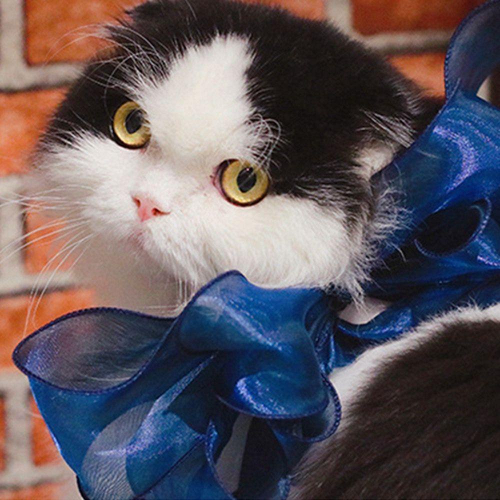 AUGUSTINA Vòng Cổ Lụa Dài Có Gắn Nơ Cho Thú Cưng