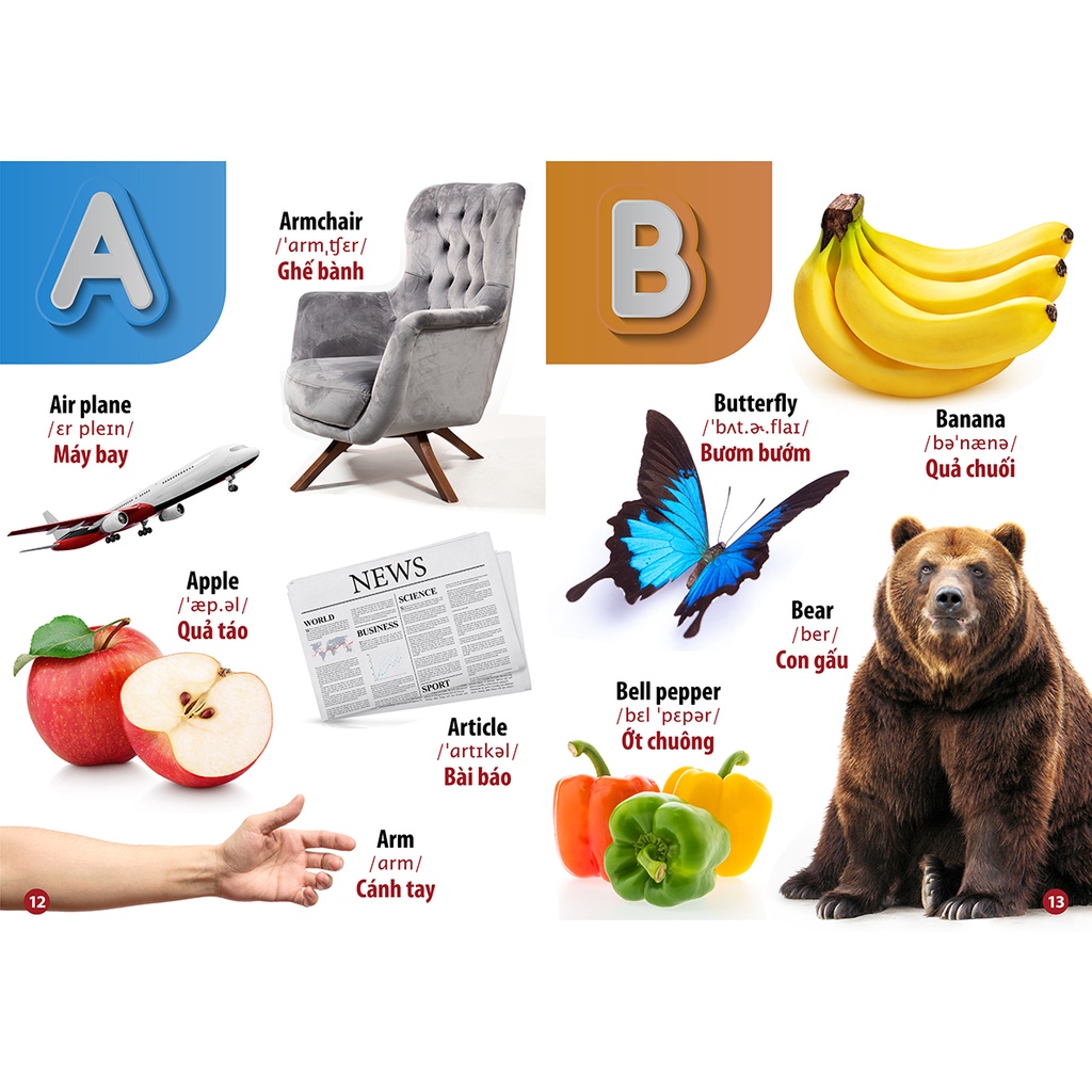 Sách - Thư viện hình ảnh song ngữ đầu tiên của bé - chữ cái và số đếm
