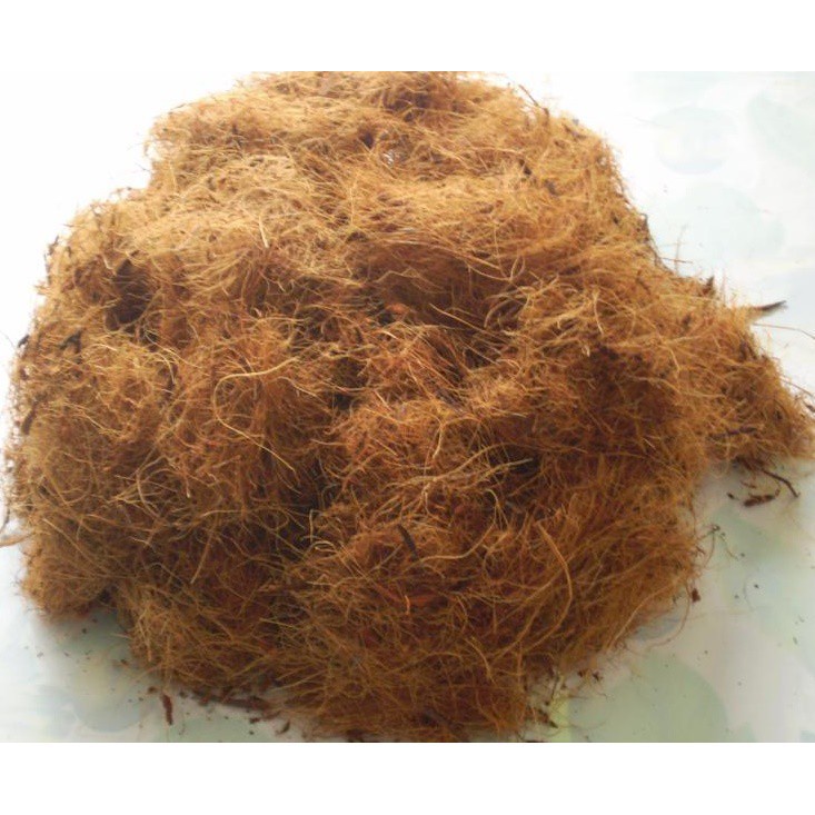 [SIEURE] XƠ DỪA NHUYỄN - 500gram/ gói hàng đẹp, phân phối chuyên nghiệp.