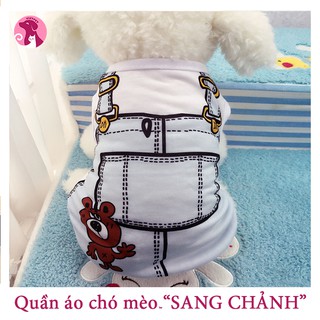 Áo vest thú cưng