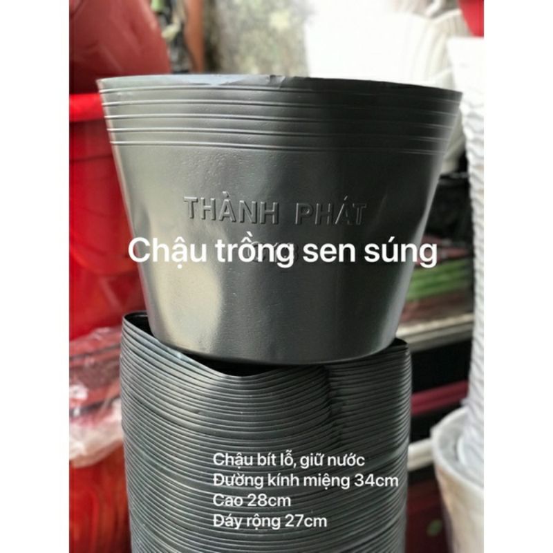 5 cái chậu nhựa trồng sen bít lỗ đường kính 34cm