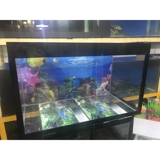 hồ cá dài 80cm cao 40cm rộng 35 cm kính 5 ly