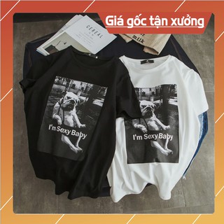 [Video thật]] Áo thun unisex chó bulldog (unisex nam nữ đều mặc được)