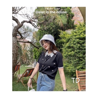 Áo len nữ cổ đức đính tag chaneo QCL1
