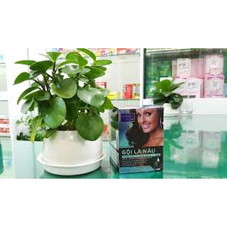 Matrix Gội Là Nâu Contraco (H/10g)