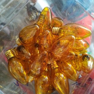 Bóng đèn trái ớt sợi đốt (1 đôi)