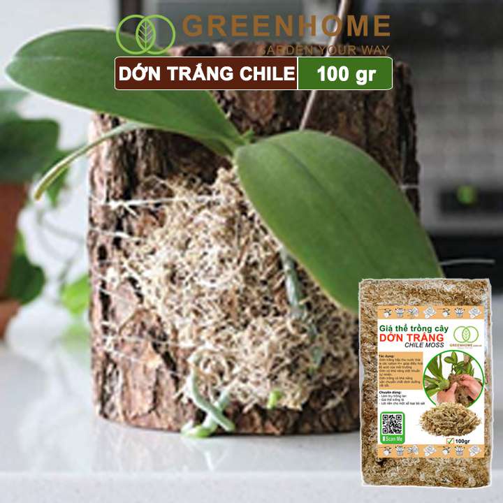 Giá thể dớn trắng Greenhome, gói 100gr, đã qua xử lý, giữ ẩm tốt, kháng khuẩn tự nhiên, trồng lan, kiểng lá