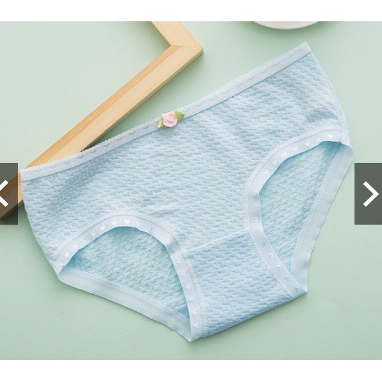 [quần lót cotton]10 quần lót cotton sợi bông nữ, quần lót điều hoà, quần lót ren,quần thông hơn, quần su đúc | BigBuy360 - bigbuy360.vn