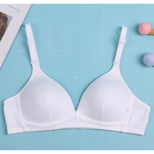 Bra / Áo Ngực Cotton Nữ Sinh Xuất Đông Âu ( A202 ). | BigBuy360 - bigbuy360.vn