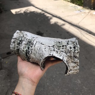 Hang Trú giả gỗ