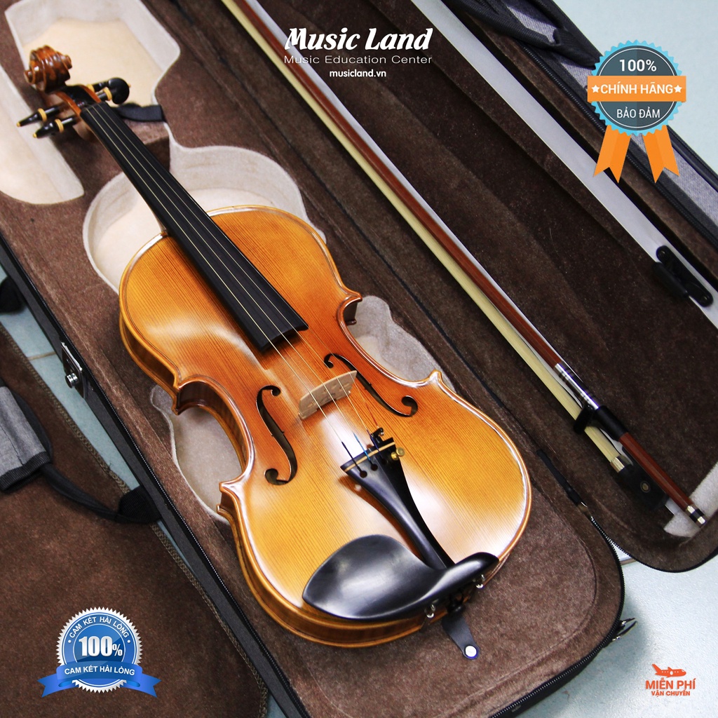 Đàn Violin Amati VF300 – Chính Hãng