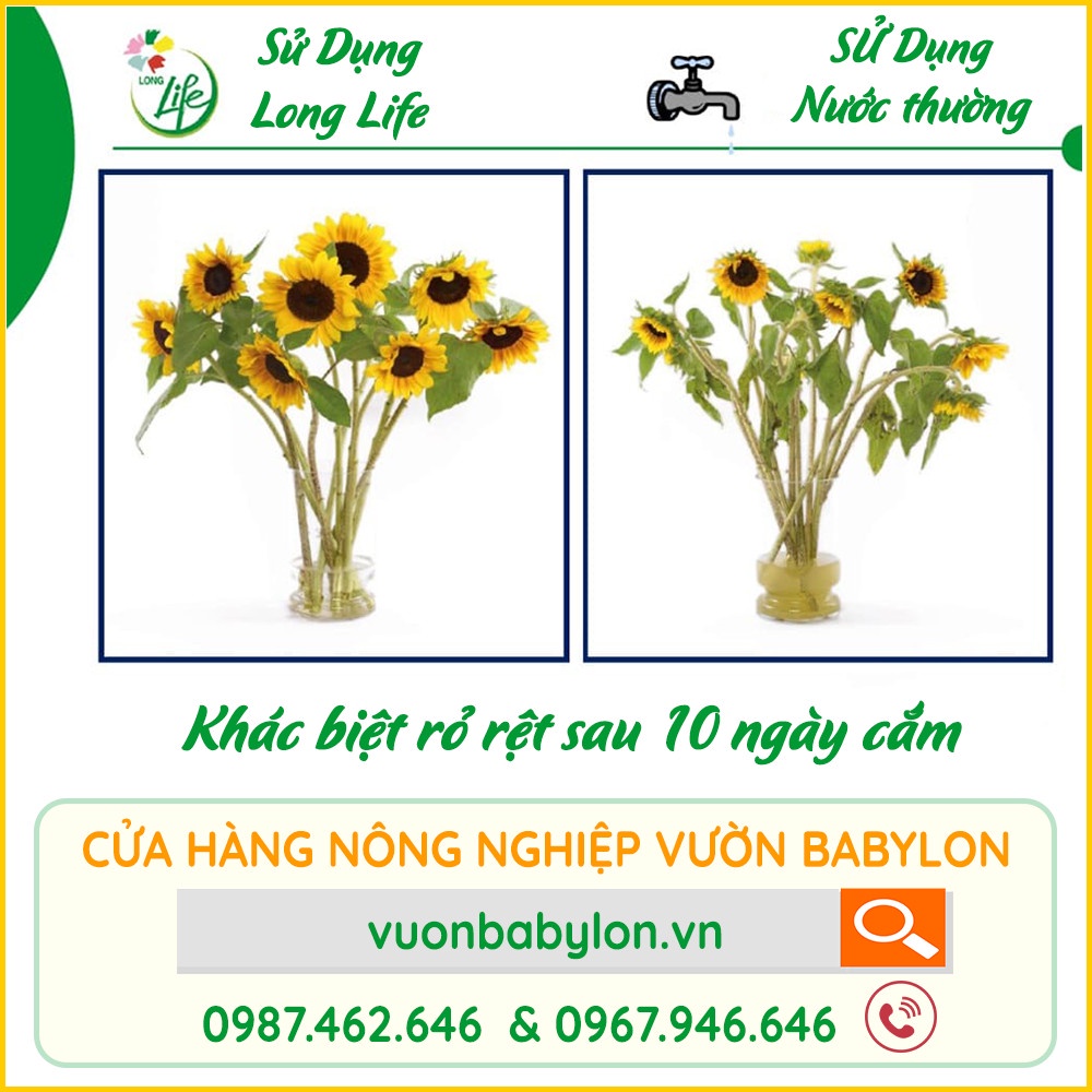 1 gói Thuốc Giữ Hoa Tươi Lâu Long Life - Giữ Hoa Cắm Bình Lâu Tàn, Không Thối Nước Long Life