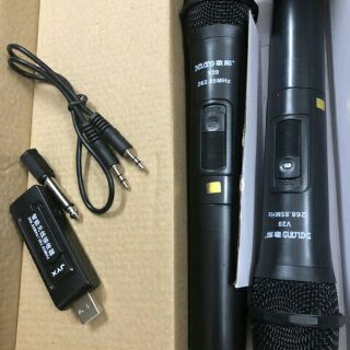 Mic đôi v20 bluethooth dành cho loa kéo các loại