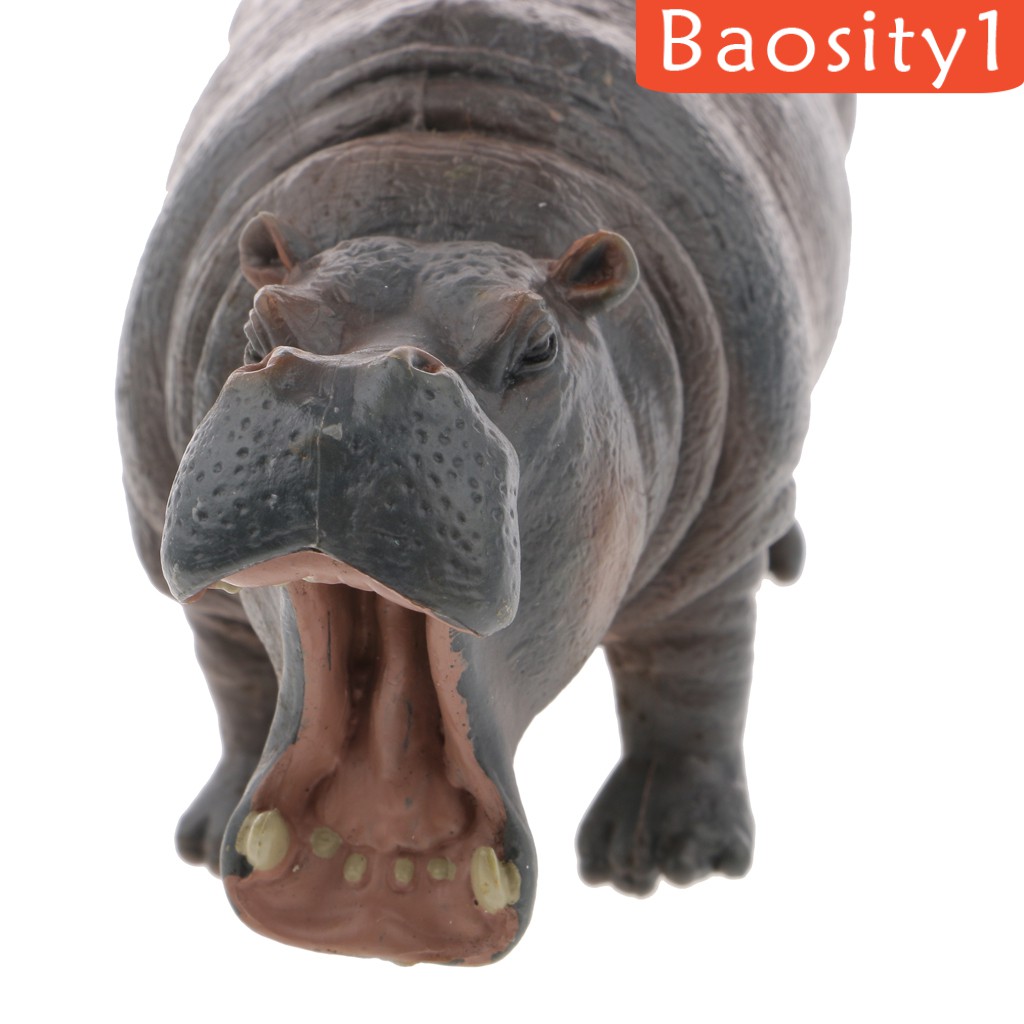 Mô hình con hà mã hoang dã sống động như thật