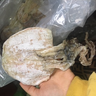 3con mực khô loại 1 size vừa