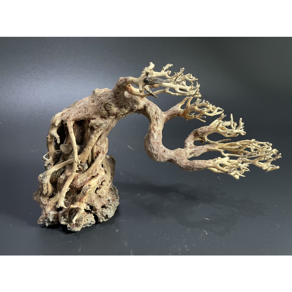 Lũa Bonsai, Lũa thủy sinh dùng trang trí hồ cá cảnh, hồ thủy sinh, văn phòng, nhà cửa
