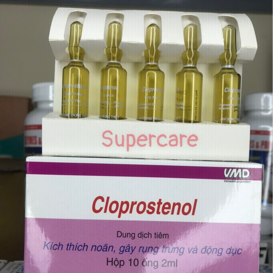 1 Ống CLOPROSTENOL - Rụng Trứng, Động Dục Ở Vật Nuôi