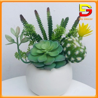 Chậu Sen Đá Chậu Cây Giả Để Bàn Trang Trí Decor Nhà Cửa Cao 15-20cm Nhiều Mẫu Cắm Sẵn DC-103