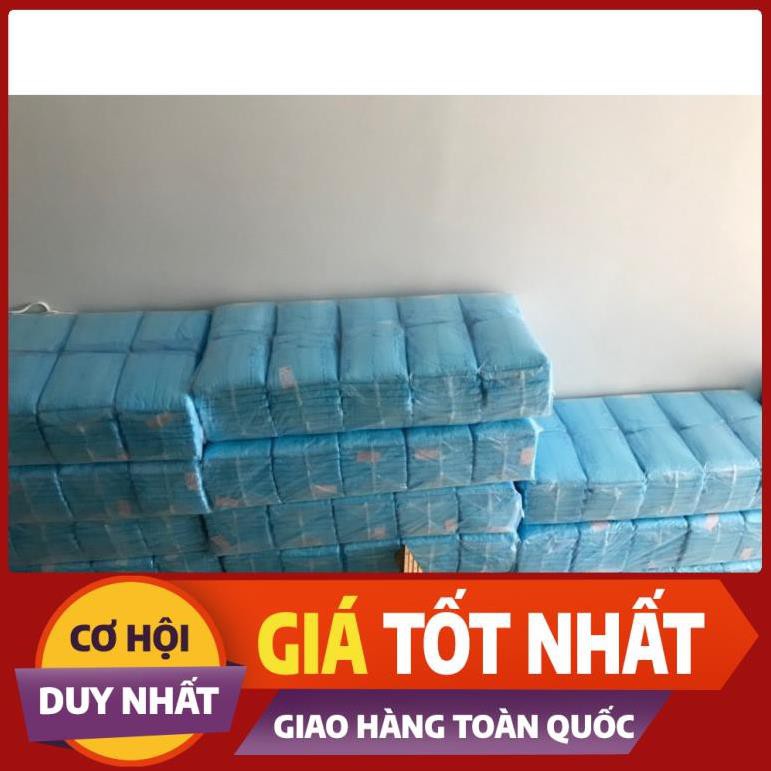 D24H  Bỉm Phú Đạt, Việt Thái cho người lớn, người già, sau sinh (Túi 10 miếng)