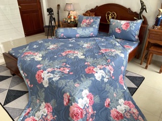 Drap cotton hàn quốc