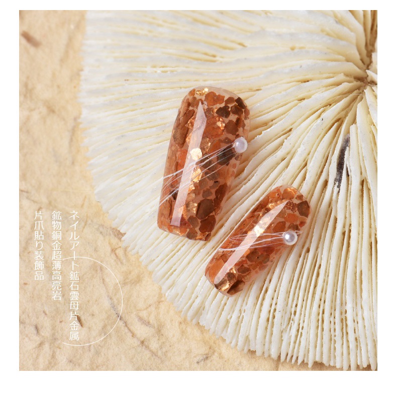 Set xà cừ vảy cá 6 màu ẩn gel, trang trí móng, chuyên dùng làm nail