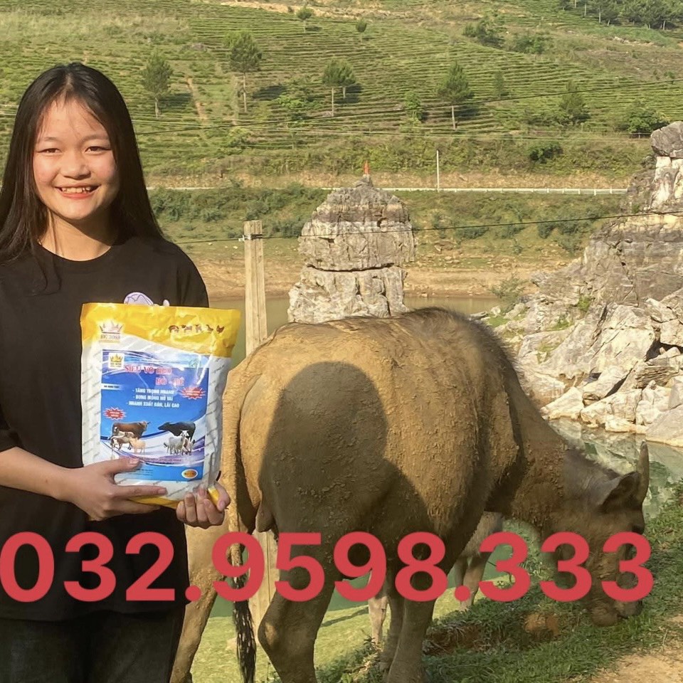 Siêu Vỗ Béo Trâu Bò Dê. Hàng Công Ty