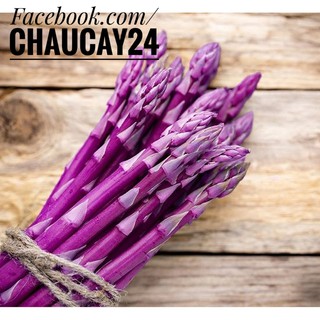 Măng tây tím - Hạt giống rau thơm ngon, năng suất cao