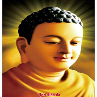 Tranh đính đá Phật Tổ Như Lai-DD9176