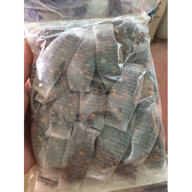 [SIEURE] Phân chậm tan dùng cho lan Grow more 5-5-5 hàng đẹp, phân phối chuyên nghiệp.