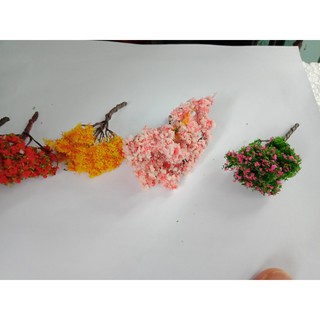 Cây trang trí tiểu cảnh