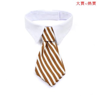 Phụ Kiện Chụp Ảnh Sáng Tạo