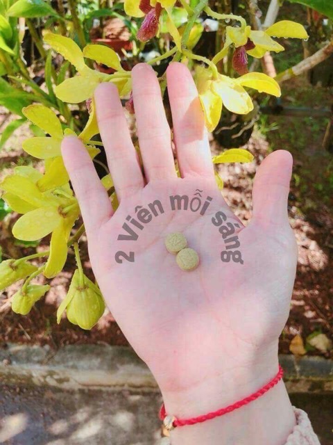 Nấm giảm cân Sbody Slim dạng viên