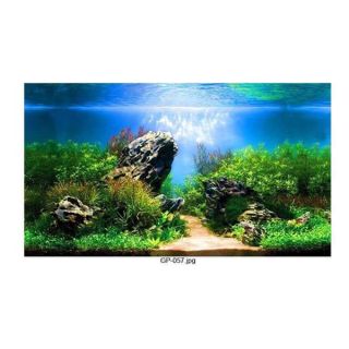Tranh 3D bể cá (kt 50x40;60x40; 80x50;90x50;100x50;100x60;120x60cm