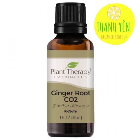 Tinh Dầu Gừng Plant Therapy - Organic Ginger Root CO2 Extract