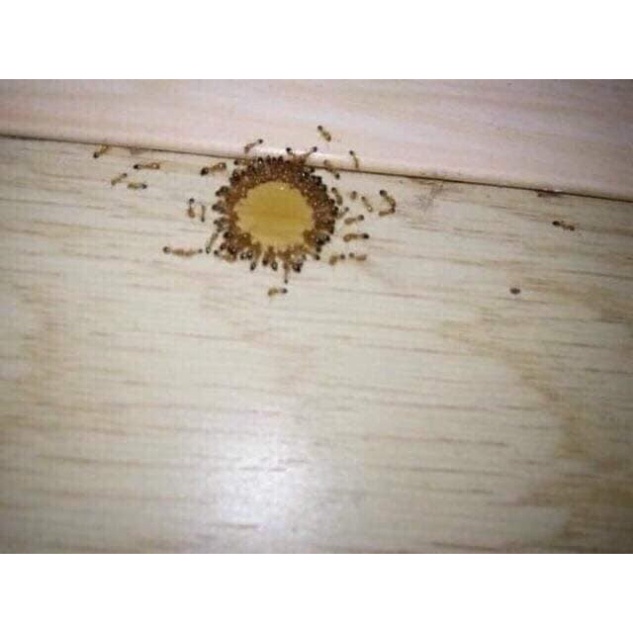 FREESHIP!!!!Thuôc Diệt Kiến-Gián Sinh Học An Toàn Hàng Việt Nam