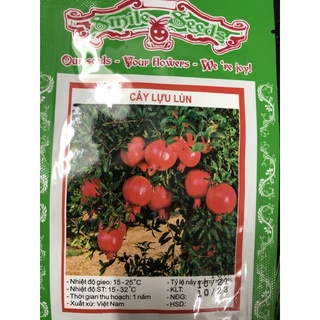 Hạt giống Cây lựu lùn (10H) 🌱