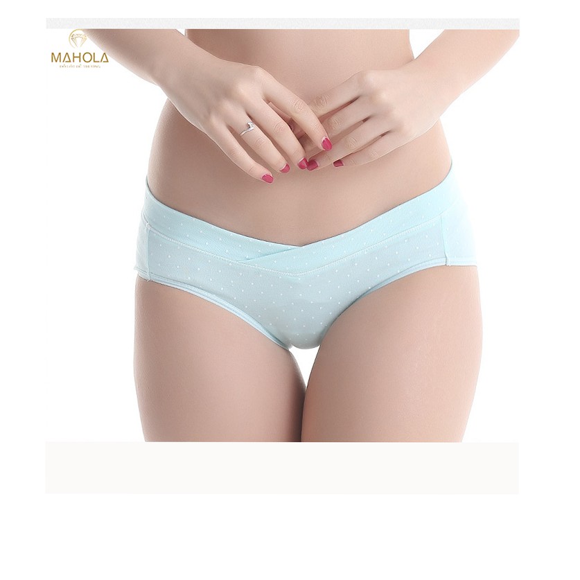 Quần Lót Bầu Cotton Hình Chấm Bi Mahola QB05