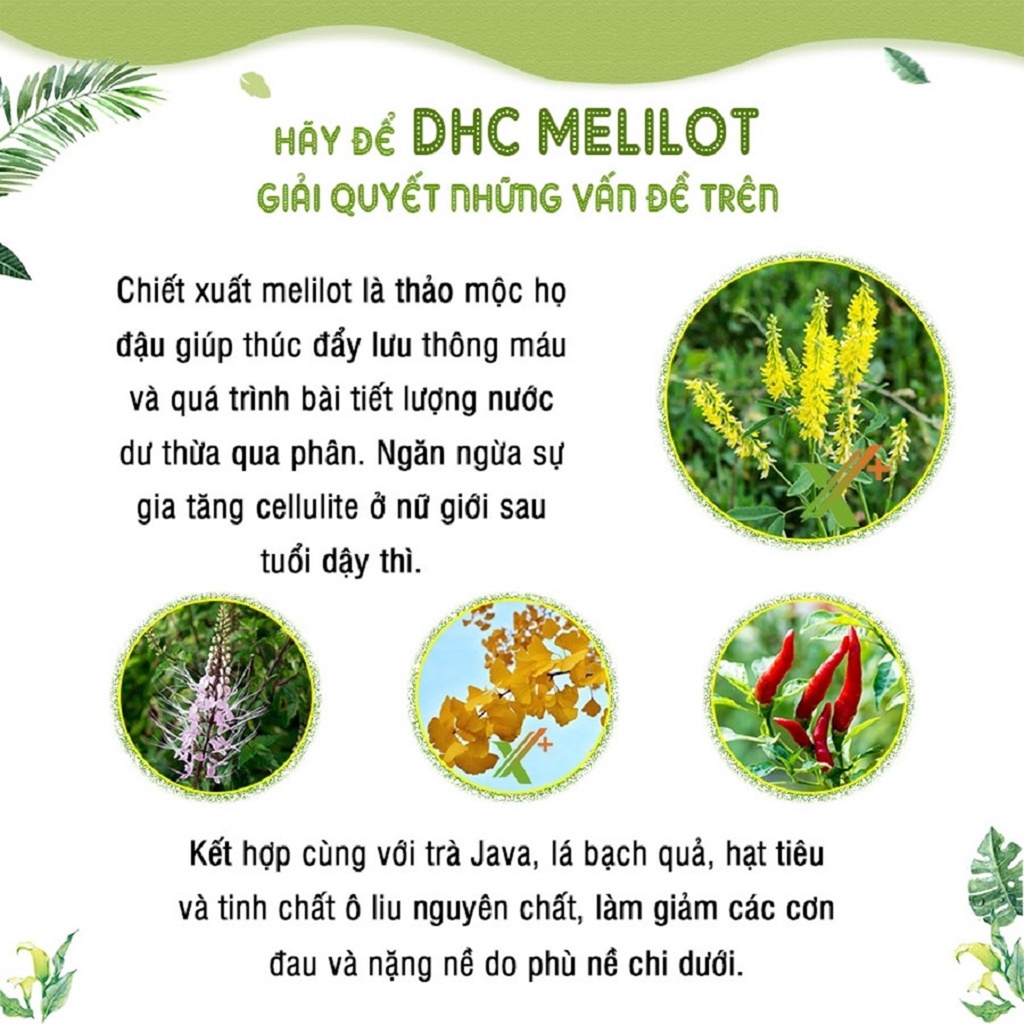 Viên Uống DHC Melilot Hỗ Trợ Thon Chân, Giảm Mỡ Đùi 30 Ngày (60v/gói)